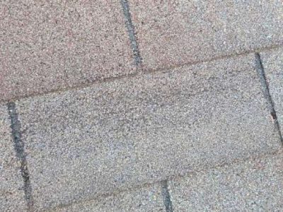 Asphalt Shingle Roofing Asphalt Shingle Roofing